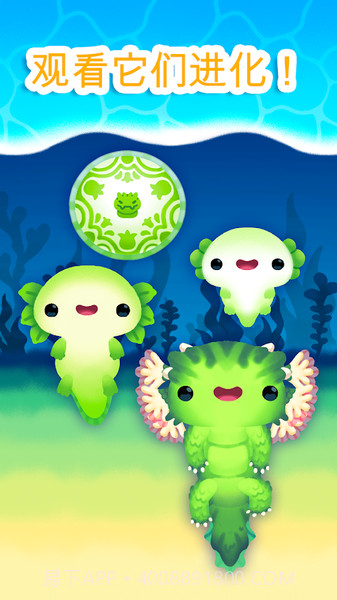 Axolochi 萌宠蝾螈截图4