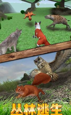 松鼠模拟器截图2 松鼠模拟器截图2