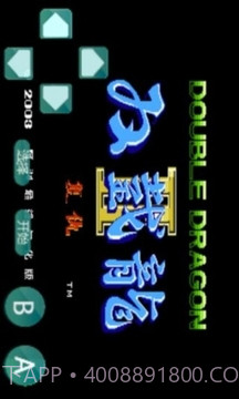 双截龙-怀旧经典截图1