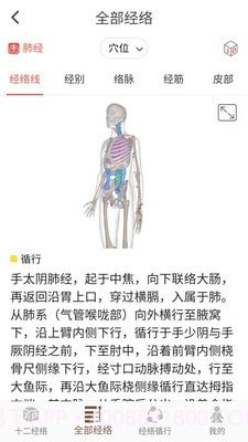3D BODY(经络穴位3D)截图3