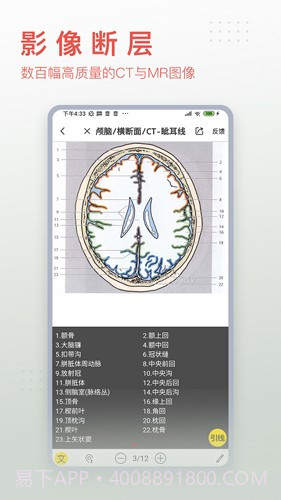 3Dbody艺用(3Dbody艺用三维人体模型)V8.4.41 安卓最新版截图4 3Dbody艺用(3Dbody艺用三维人体模型)V8.4.41 安卓最新版截图4
