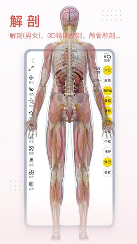 3Dbody艺用(3Dbody艺用三维人体模型)V8.4.41 安卓最新版截图3 3Dbody艺用(3Dbody艺用三维人体模型)V8.4.41 安卓最新版截图3