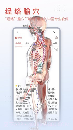 3Dbody艺用(3Dbody艺用三维人体模型)V8.4.41 安卓最新版截图2 3Dbody艺用(3Dbody艺用三维人体模型)V8.4.41 安卓最新版截图2