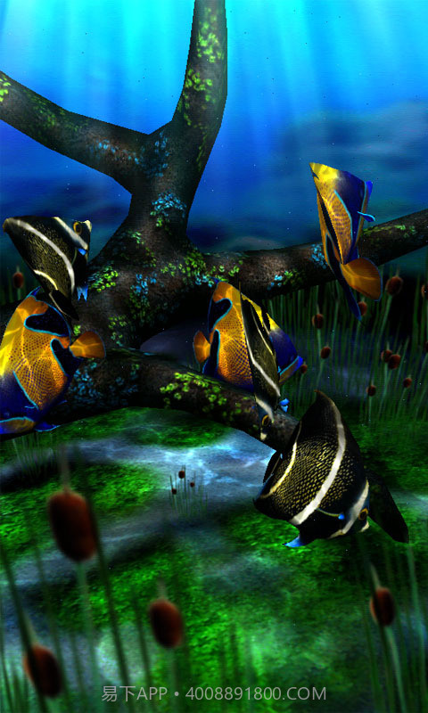 3d水族馆动态壁纸截图4 3d水族馆动态壁纸截图4