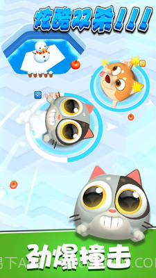 暴走碰碰球最新版截图4 暴走碰碰球最新版截图4