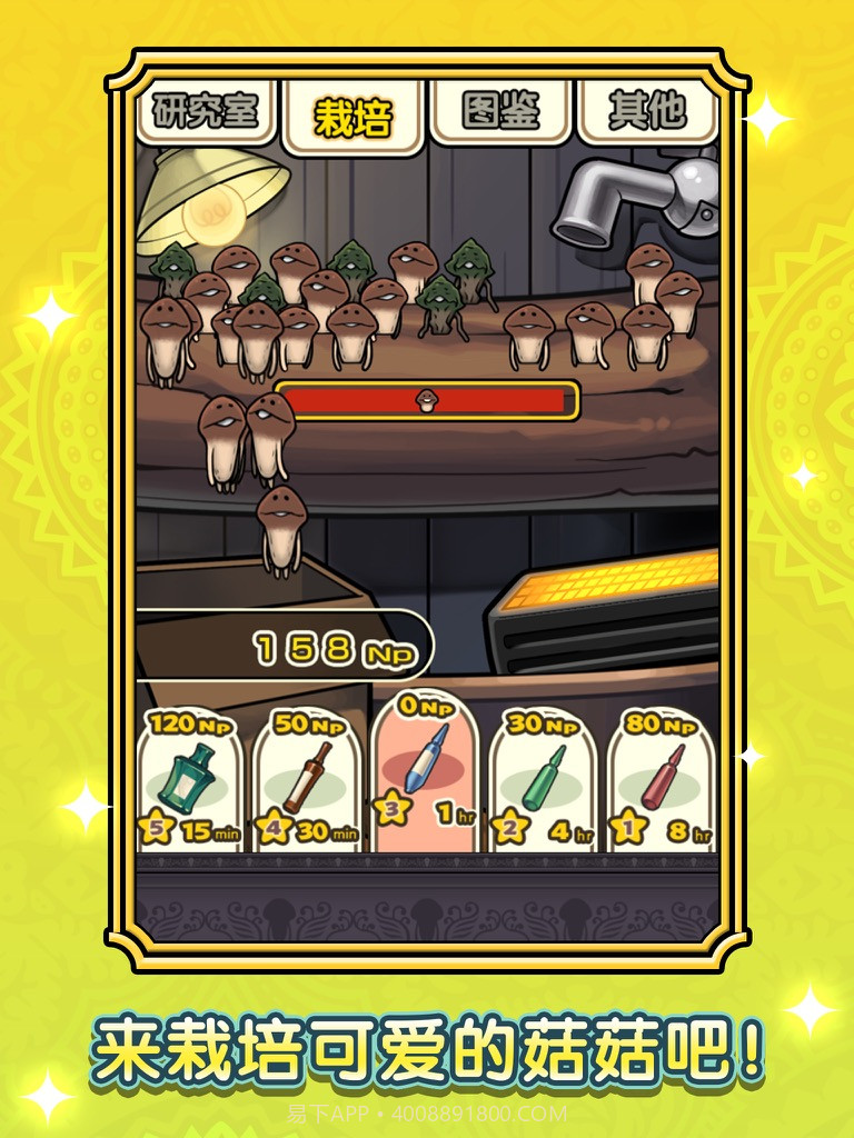 蘑菇花园官网版截图2 蘑菇花园官网版截图2