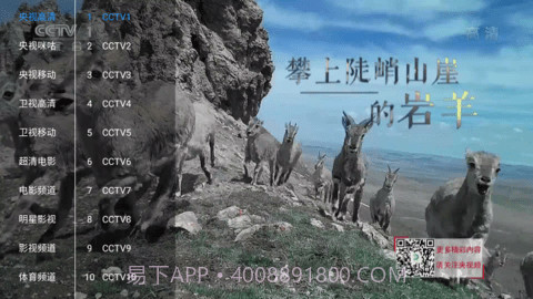 新喵影视会员免登录截图2