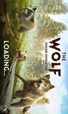 狼族手机版截图1 狼族手机版截图1