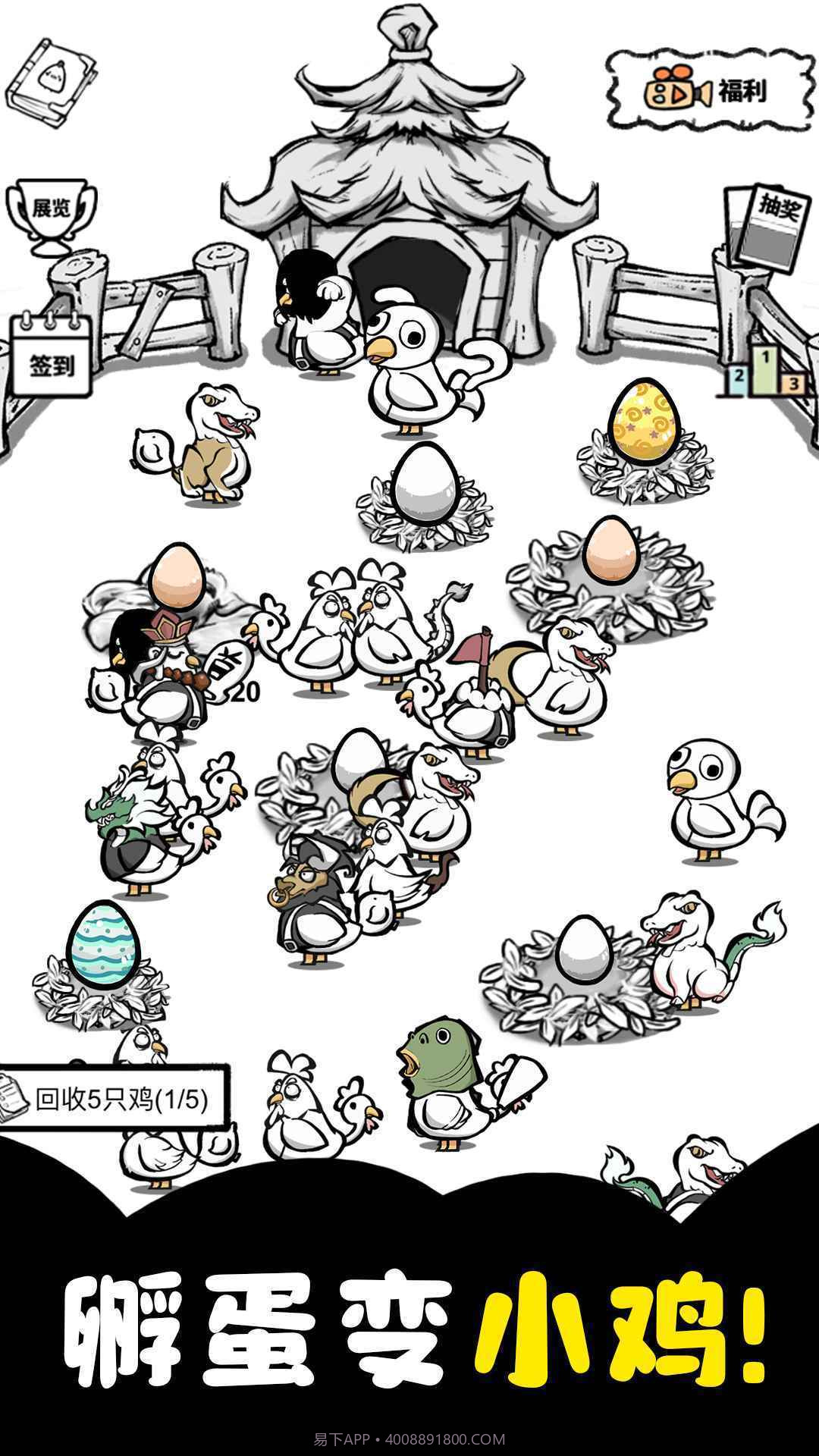 养鸡时长两年半免广告版截图2