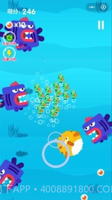 小青鱼旅行截图1 小青鱼旅行截图1