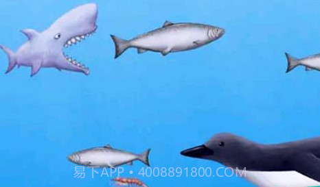 美味海洋2截图3