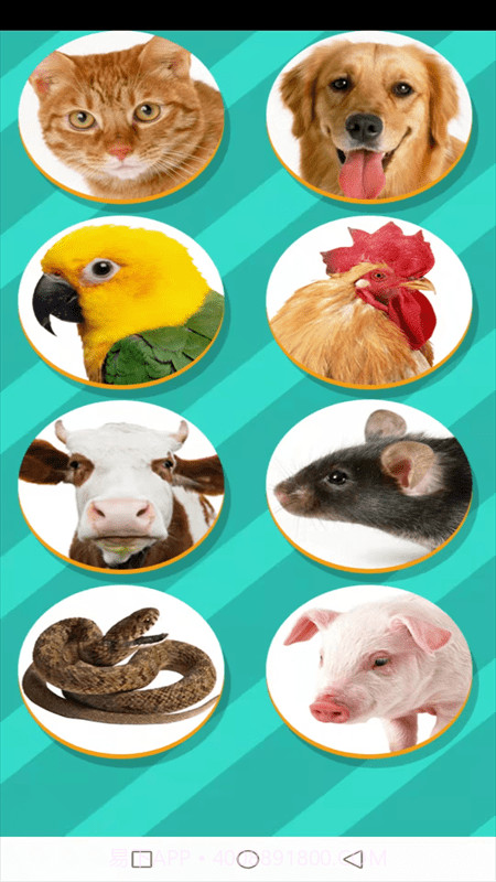 动物交流模拟器软件截图3