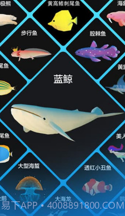 深海水族馆2019截图3