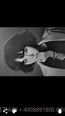 像素画相机截图3