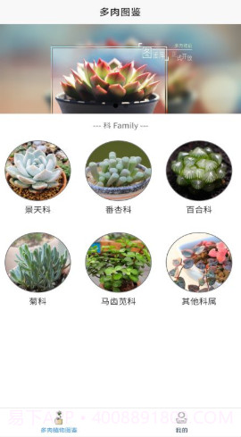 嘟嘟多肉植物鉴截图1