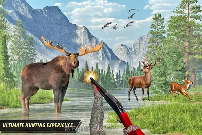 野生动物狩猎丛林动物射击截图3