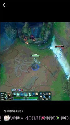 猫咪小视频截图2