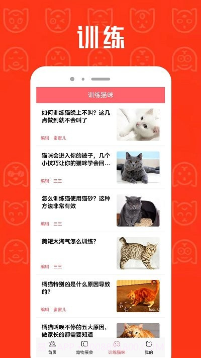 cpcat宠物截图4 cpcat宠物截图4