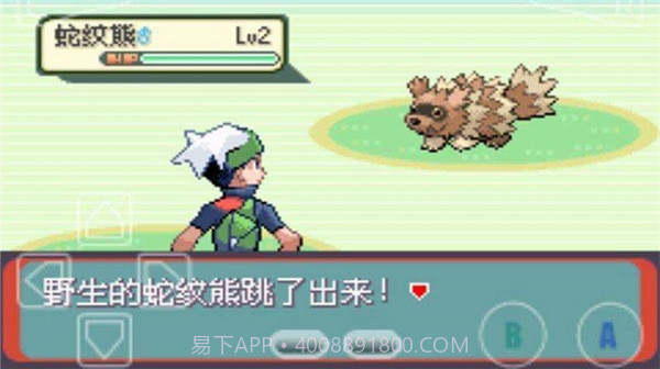 口袋妖怪蓝宝石V6.7.1 去除积分限制版截图2