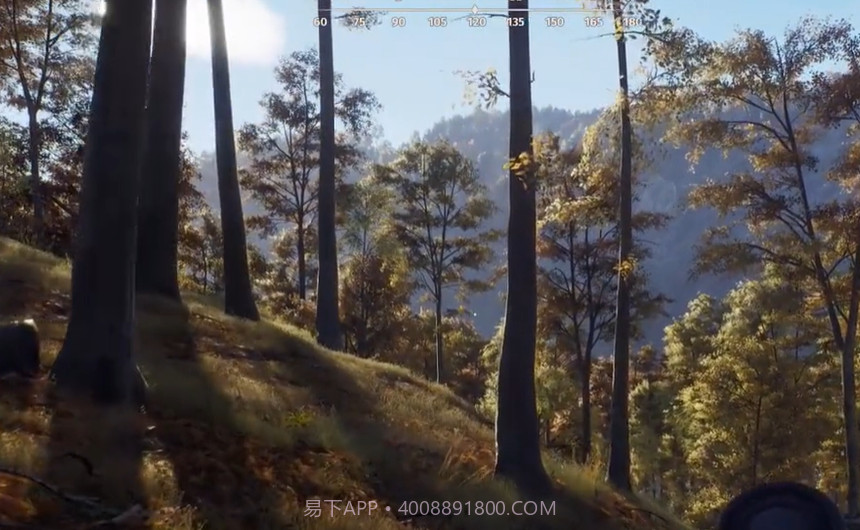 荒野猎人模拟器截图4