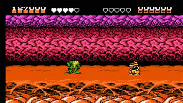 忍者蛙(悟饭)截图2 忍者蛙(悟饭)截图2