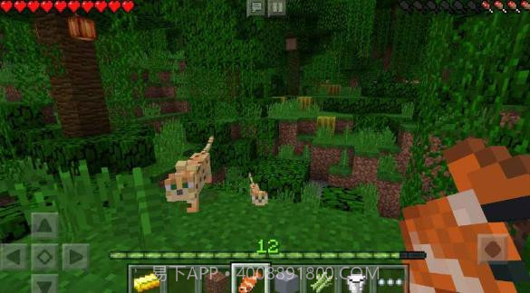 我的世界贝爷极限生存截图1