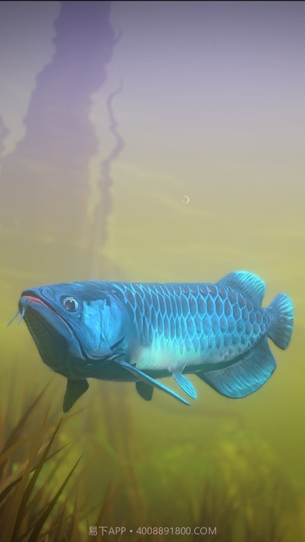 海底与猎杀截图2