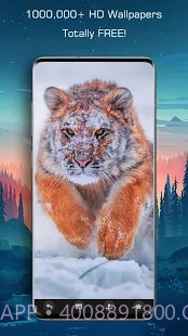 百万高清壁纸截图1 百万高清壁纸截图1