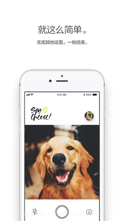 Low Polar拍立得截图2 Low Polar拍立得截图2