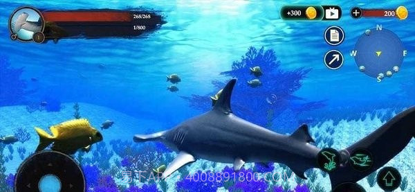 锤头鲨模拟器3d截图3 锤头鲨模拟器3d截图3