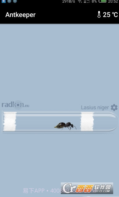 Antkeeper蚂蚁模拟手机版截图4 Antkeeper蚂蚁模拟手机版截图4