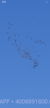 Flocc截图2 Flocc截图2