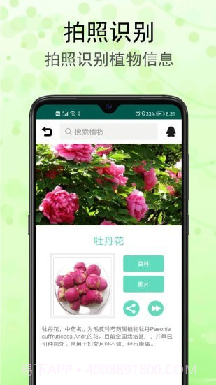 识花草截图1 识花草截图1