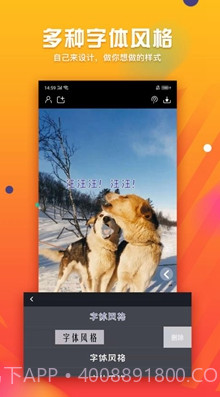 字幕君(字幕君播放卡)v1.0.1 最新版截图3 字幕君(字幕君播放卡)v1.0.1 最新版截图3