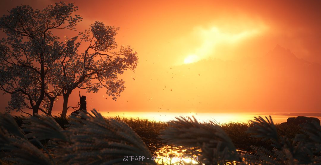 燕云十六声免广告版截图8