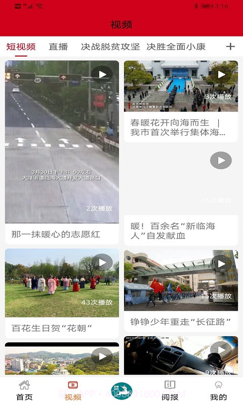 掌心临海免费正版截图2