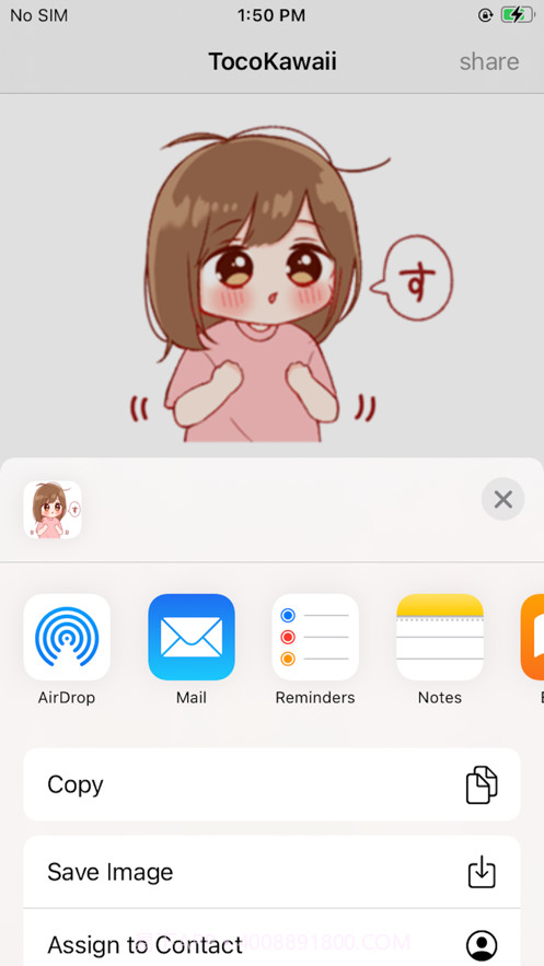 TocoKawai截图2 TocoKawai截图2