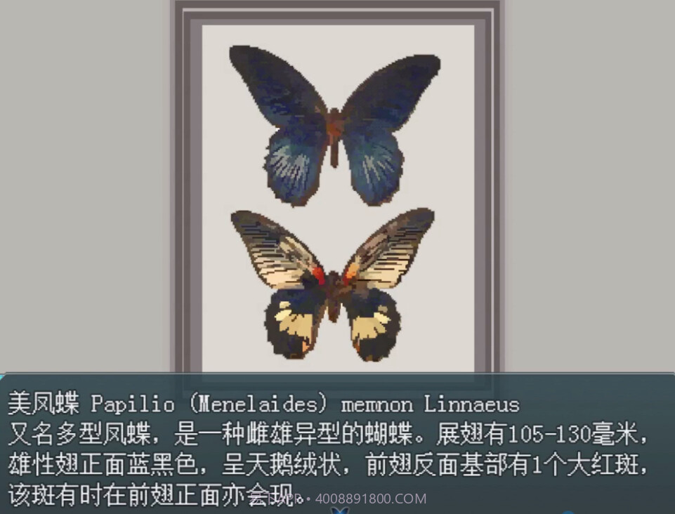 白夜博物馆修改版截图5 白夜博物馆修改版截图5