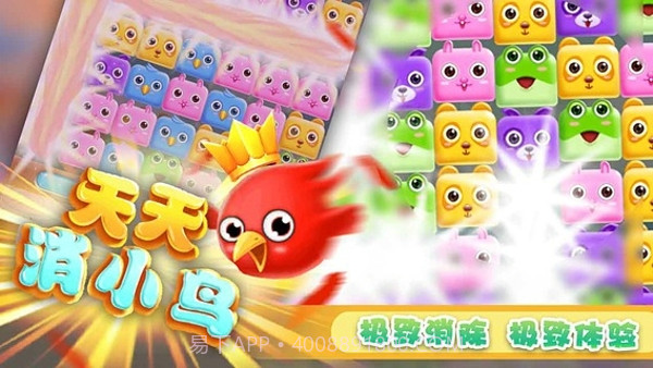 天天消小鸟截图4 天天消小鸟截图4