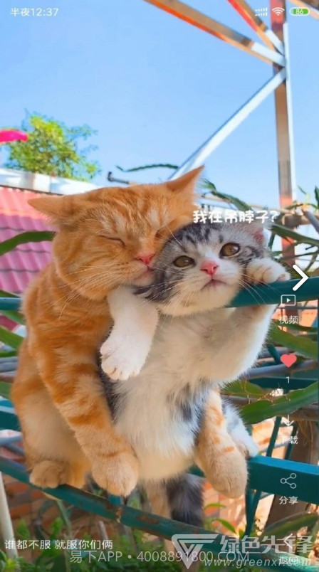 VideoWallpaper(videowallpaper小米)V3.2.3 安卓中文版截图5 VideoWallpaper(videowallpaper小米)V3.2.3 安卓中文版截图5