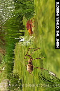 终极蜘蛛模拟器最新版截图1 终极蜘蛛模拟器最新版截图1