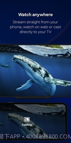 discovery+截图3 discovery+截图3