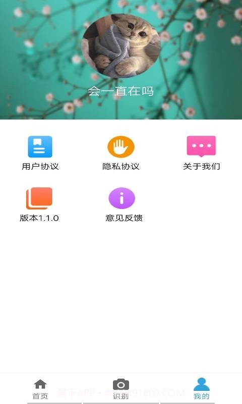 品植截图3