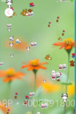 相片动态壁纸截图3 相片动态壁纸截图3