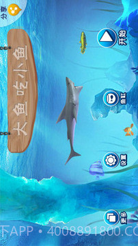 大鱼吃小鱼免费版截图1