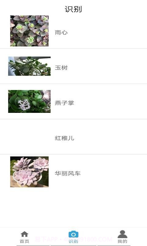 品植截图4
