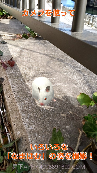 云仓鼠最新版截图4