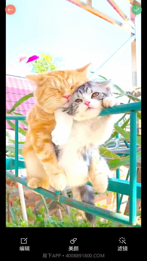 安果美颜相机截图3 安果美颜相机截图3