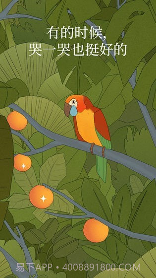 孤独的鸟儿截图1