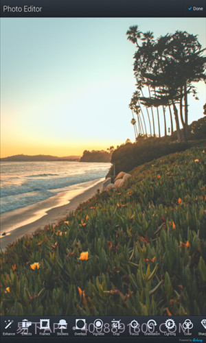 Aviary相片编辑器截图1